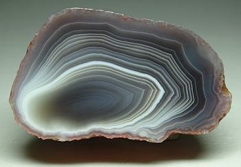 Botswana from Botswana, Africa [db_pics/pics/AAU06-image.JPG]