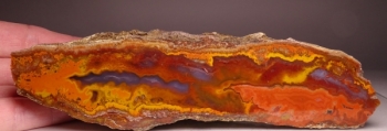 Moroccan Seam Agate from Al Hama, Quarzazate Province, Morocco [db_pics/pics/DSC02658.jpg]