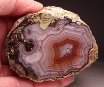 Laguna Agate from Rancho Ojo Laguna, Chihuahua, Mexico [db_pics/pics/DSC03563.jpg]