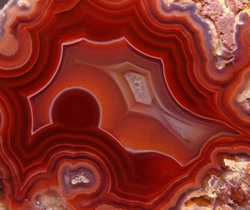 Laguna Agate from Rancho Ojo Laguna, Chihuahua, Mexico [db_pics/pics/DSC03568.jpg]