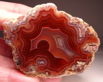 Laguna Agate from Rancho Ojo Laguna, Chihuahua, Mexico [db_pics/pics/DSC03570.jpg]