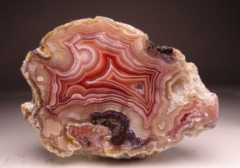 Laguna Agate from Rancho Ojo Laguna, Chihuahua, Mexico [db_pics/pics/DSC03574.jpg]