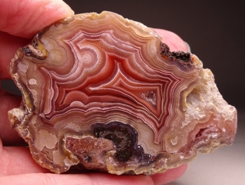 Laguna Agate from Rancho Ojo Laguna, Chihuahua, Mexico [db_pics/pics/DSC03578.jpg]