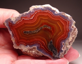 Laguna Agate from Rancho Ojo Laguna, Chihuahua, Mexico [db_pics/pics/DSC03585.jpg]