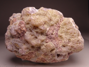 Laguna Agate from Rancho Ojo Laguna, Chihuahua, Mexico [db_pics/pics/DSC03592.jpg]