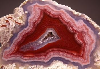 Laguna Agate from Rancho Ojo Laguna, Chihuahua, Mexico [db_pics/pics/DSC03594.jpg]