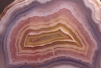 Laguna Agate from Rancho Ojo Laguna, Chihuahua, Mexico [db_pics/pics/DSC03603.jpg]