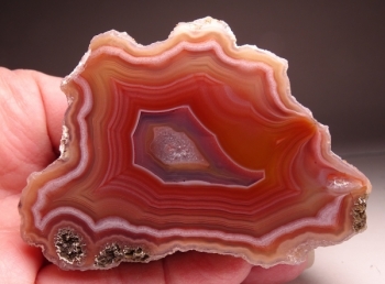 Laguna Agate from Rancho Ojo Laguna, Chihuahua, Mexico [db_pics/pics/DSC03614.jpg]
