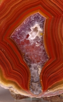 Laguna Agate from Rancho Ojo Laguna, Chihuahua, Mexico [db_pics/pics/DSC03618.jpg]