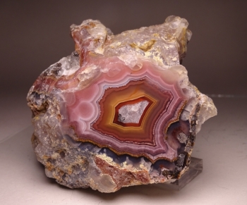 Laguna Agate from Rancho Ojo Laguna, Chihuahua, Mexico [db_pics/pics/DSC03984.jpg]