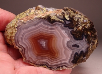 Laguna Agate from Rancho Ojo Laguna, Chihuahua, Mexico [db_pics/pics/DSC04382.jpg]