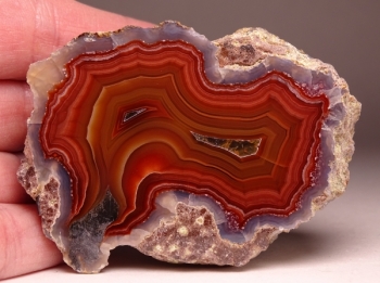 Laguna Agate from Rancho Ojo Laguna, Chihuahua, Mexico [db_pics/pics/DSC04387.jpg]