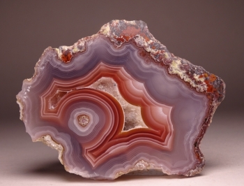 Laguna Agate Slab from Rancho Ojo Laguna, Chihuahua, Mexico [db_pics/pics/DSC04389.jpg]