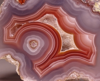 Laguna Agate Slab from Rancho Ojo Laguna, Chihuahua, Mexico [db_pics/pics/DSC04391.jpg]