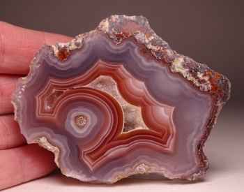 Laguna Agate Slab from Rancho Ojo Laguna, Chihuahua, Mexico [db_pics/pics/DSC04392.jpg]