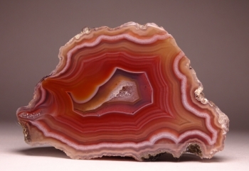 Laguna Agate from Rancho Ojo Laguna, Chihuahua, Mexico [db_pics/pics/DSC04394.jpg]