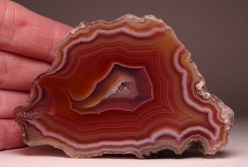 Laguna Agate from Rancho Ojo Laguna, Chihuahua, Mexico [db_pics/pics/DSC04398.jpg]