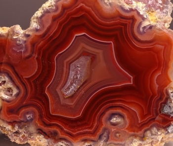 Laguna Agate from Rancho Ojo Laguna, Chihuahua, Mexico [db_pics/pics/DSC04407.jpg]