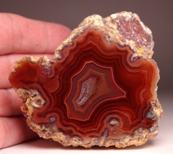 Laguna Agate from Rancho Ojo Laguna, Chihuahua, Mexico [db_pics/pics/DSC04408.jpg]