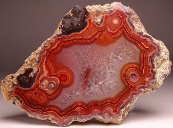 Laguna Agate from Rancho Ojo Laguna, Chihuahua, Mexico [db_pics/pics/DSC04418.jpg]