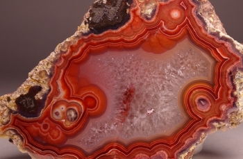 Laguna Agate from Rancho Ojo Laguna, Chihuahua, Mexico [db_pics/pics/DSC04419.jpg]