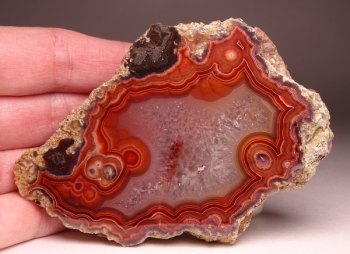 Laguna Agate from Rancho Ojo Laguna, Chihuahua, Mexico [db_pics/pics/DSC04420.jpg]
