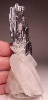 Hubernite with Quartz from Pasta Bueno, Peru [db_pics/pics/DSC04596.jpg]