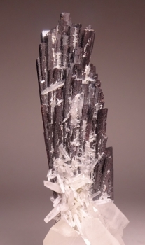 Hubernite with Quartz from Pasta Bueno, Peru [db_pics/pics/DSC04599.jpg]