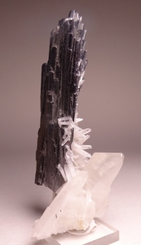 Hubernite with Quartz from Pasta Bueno, Peru [db_pics/pics/DSC04601.jpg]