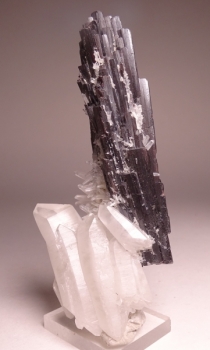 Hubernite with Quartz from Pasta Bueno, Peru [db_pics/pics/DSC04603.jpg]