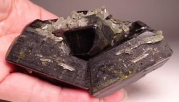 Epidote with Quartz from Prince of Wales Island, Alaska [db_pics/pics/DSC04625.jpg]