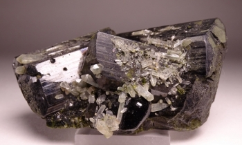 Epidote with Quartz from Prince of Wales Island, Alaska [db_pics/pics/DSC04629.jpg]