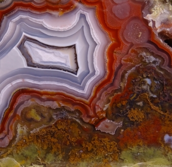 Agua Nueva Agate from Rancho Agua Nueva, Chihuahua, Mexico [db_pics/pics/DSC04831.jpg]