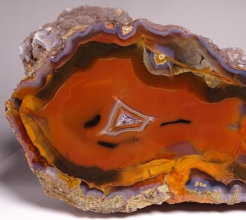 Condor Agate from San Rafael, Mendoza Province, Argentina [db_pics/pics/DSC04850.jpg]