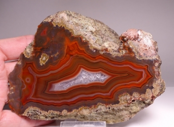 Condor Agate from San Rafael, Mendoza Province, Argentina [db_pics/pics/DSC04859.jpg]