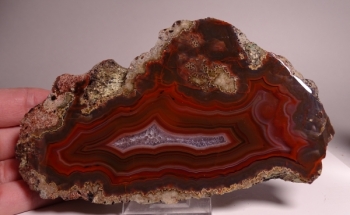 Condor Agate from San Rafael, Mendoza Province, Argentina [db_pics/pics/DSC04866.jpg]