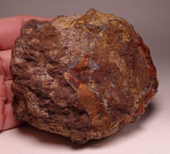 Condor Agate from San Rafael, Mendoza Province, Argentina [db_pics/pics/DSC04884.jpg]