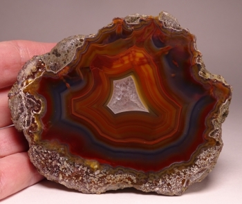 Condor Agate from San Rafael, Mendoza Province, Argentina [db_pics/pics/DSC04889.jpg]