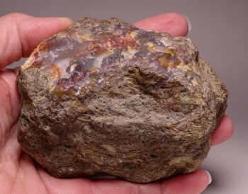 Condor Agate from San Rafael, Mendoza Province, Argentina [db_pics/pics/DSC04890.jpg]