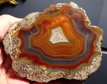 Condor Agate from San Rafael, Mendoza Province, Argentina [db_pics/pics/DSC04891.jpg]