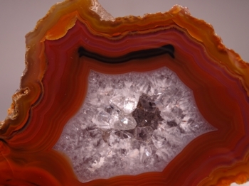 Condor Agate from San Rafael, Mendoza Province, Argentina [db_pics/pics/DSC04898.jpg]