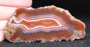 Malawi Agate from Ngabu, Chikwawa S. Region, Malawi, Africa [db_pics/pics/b_DSC00005.jpg]