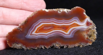 Malawi Agate from Ngabu, Chikwawa S. Region, Malawi, Africa [db_pics/pics/b_DSC00012.jpg]
