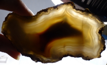 Condor Agate Thick Slab from San Rafael, Mendoza Province, Argentina [db_pics/pics/b_DSC05091.jpg]