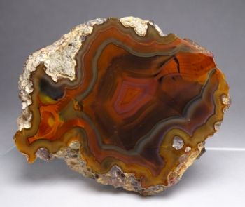 Condor Agate from San Rafael, Mendoza Province, Argentina [db_pics/pics/b_DSC05116.jpg]