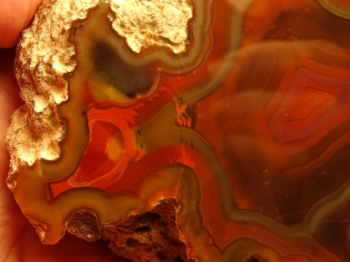 Condor Agate from San Rafael, Mendoza Province, Argentina [db_pics/pics/b_DSC05119.jpg]
