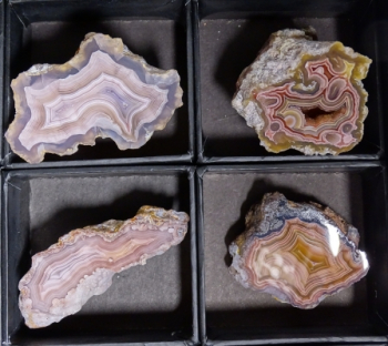 Laguna & Coyamito Collector Box from Chihuahua, Mexico [db_pics/pics/b_DSC05871.jpg]