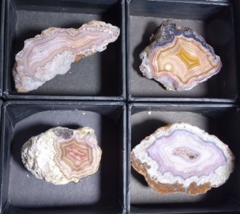 Laguna & Coyamito Collector Box from Chihuahua, Mexico [db_pics/pics/b_DSC05872.jpg]