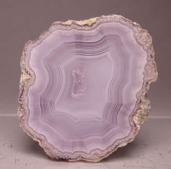 Laguna & Coyamito Collector Box from Chihuahua, Mexico [db_pics/pics/b_DSC05901.jpg]