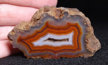 Malawi Agate from Ngabu, Chikwawa S. Region, Malawi, Africa [db_pics/pics/b_DSC09994.jpg]
